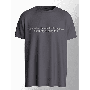 It's Not What The World Holds For You - Unisex Oversized Graphic Tee - ZEALTH.SHOP