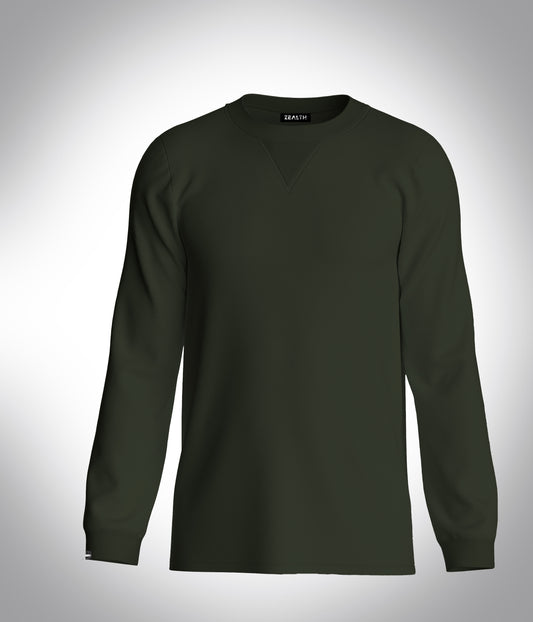 2 men olive fullsleeve tshirt WT_edited.jpg